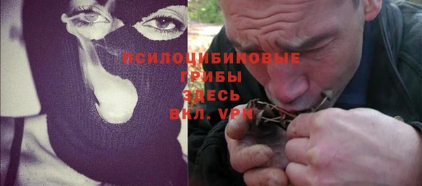 СК Алексин
