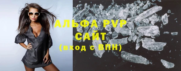 СК Алексин
