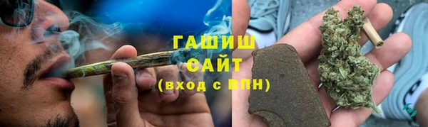 СК Алексин