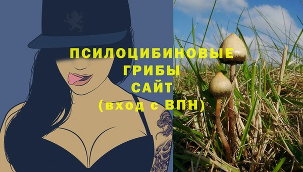 СК Алексин