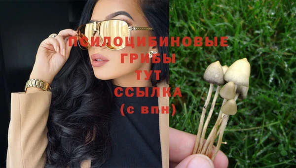СК Алексин