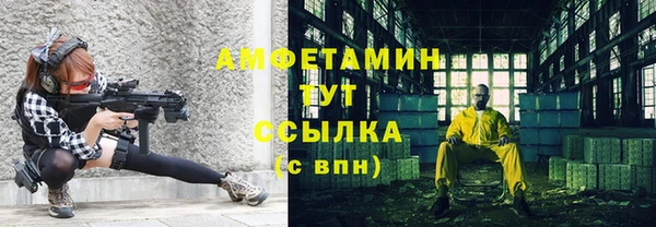 СК Алексин